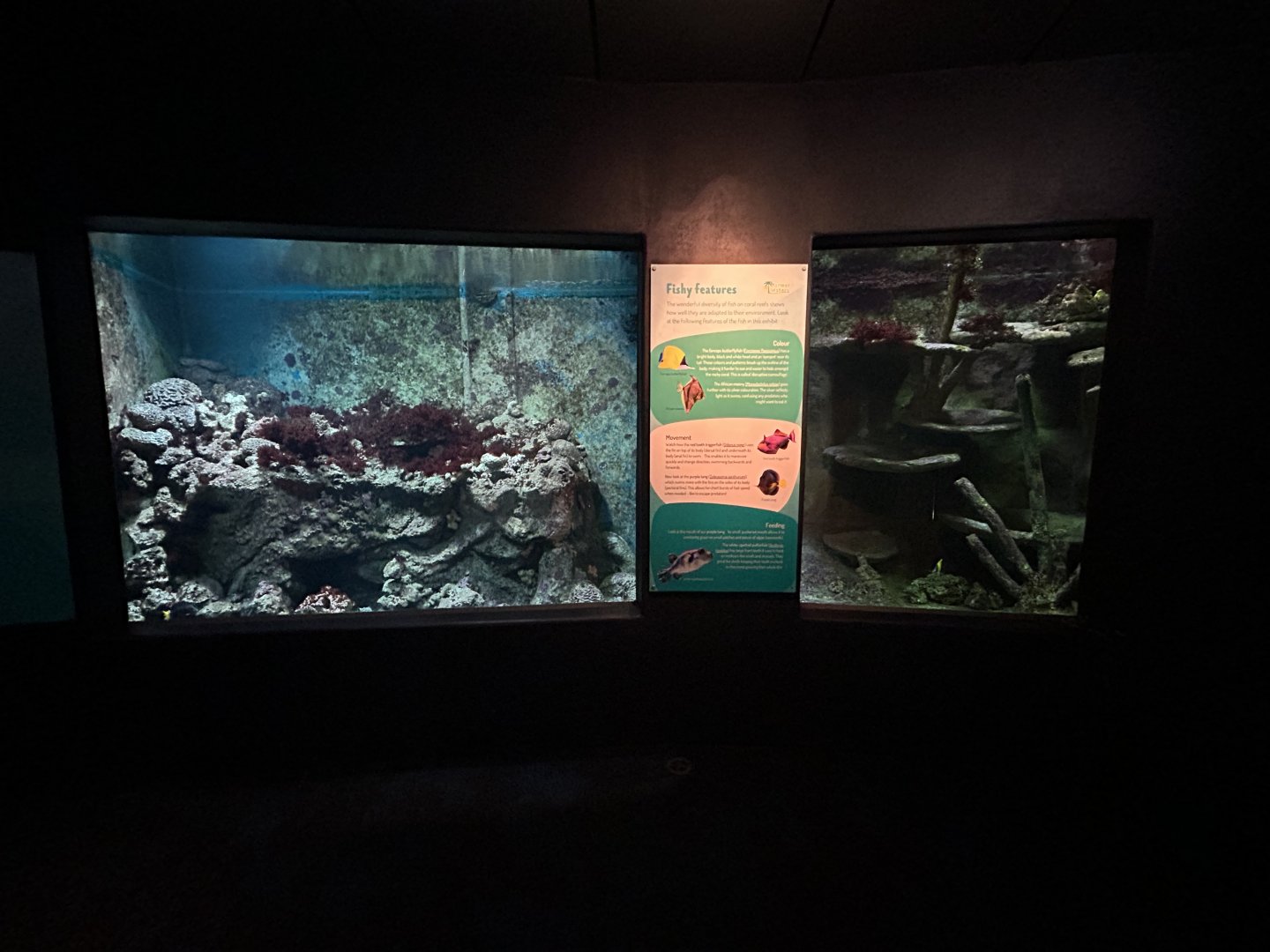 Coral Reef Exhibits