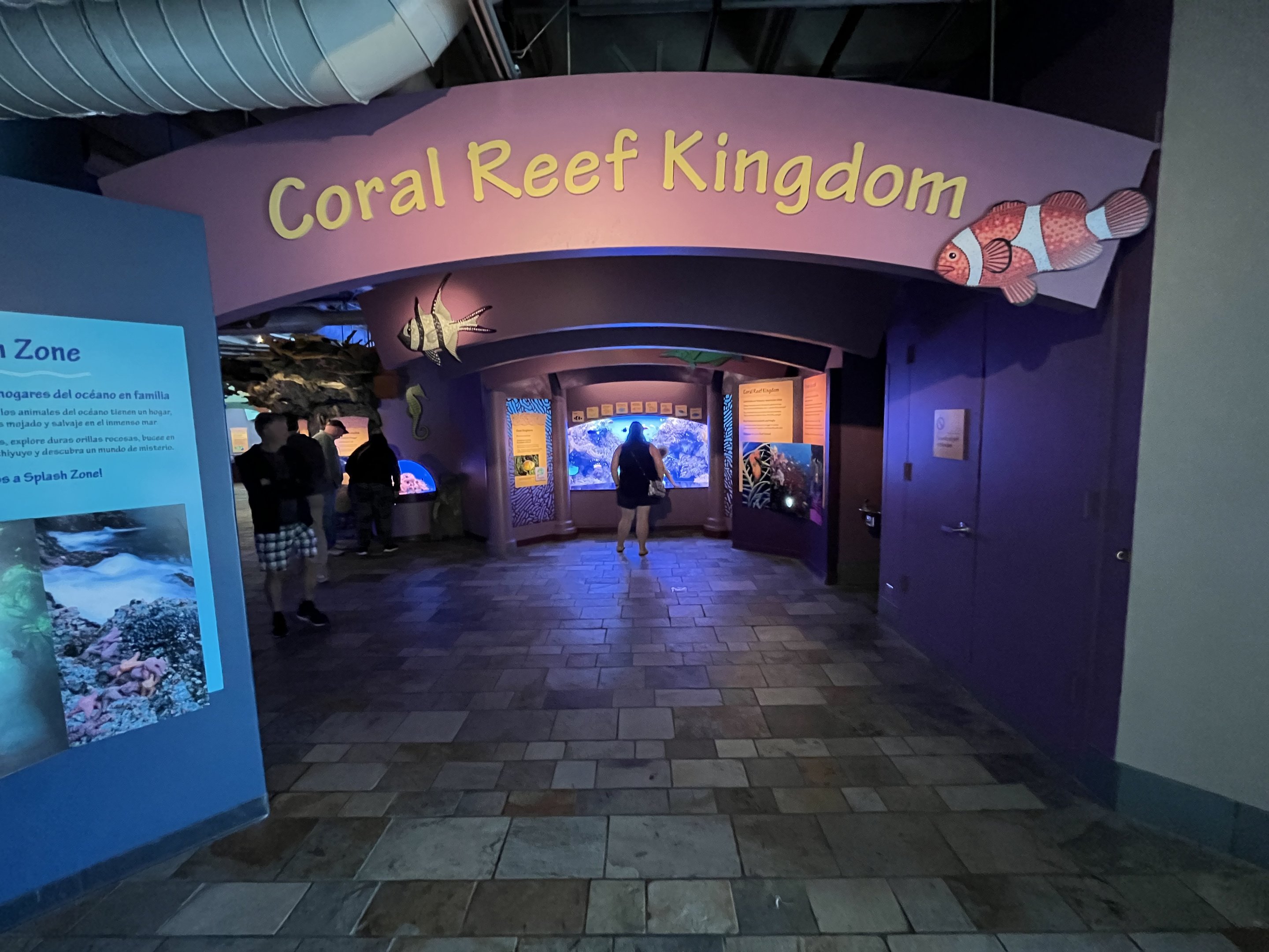 Coral Reef Kingdom - Entrance