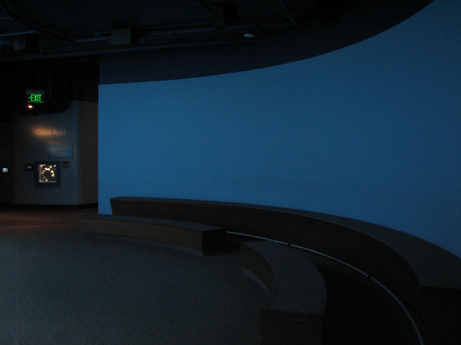 Coral Reef - Philippine Coral Reef Main Tank Viewing Area