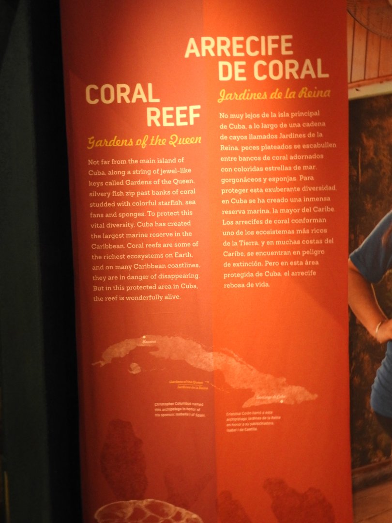 Coral Reef Sign