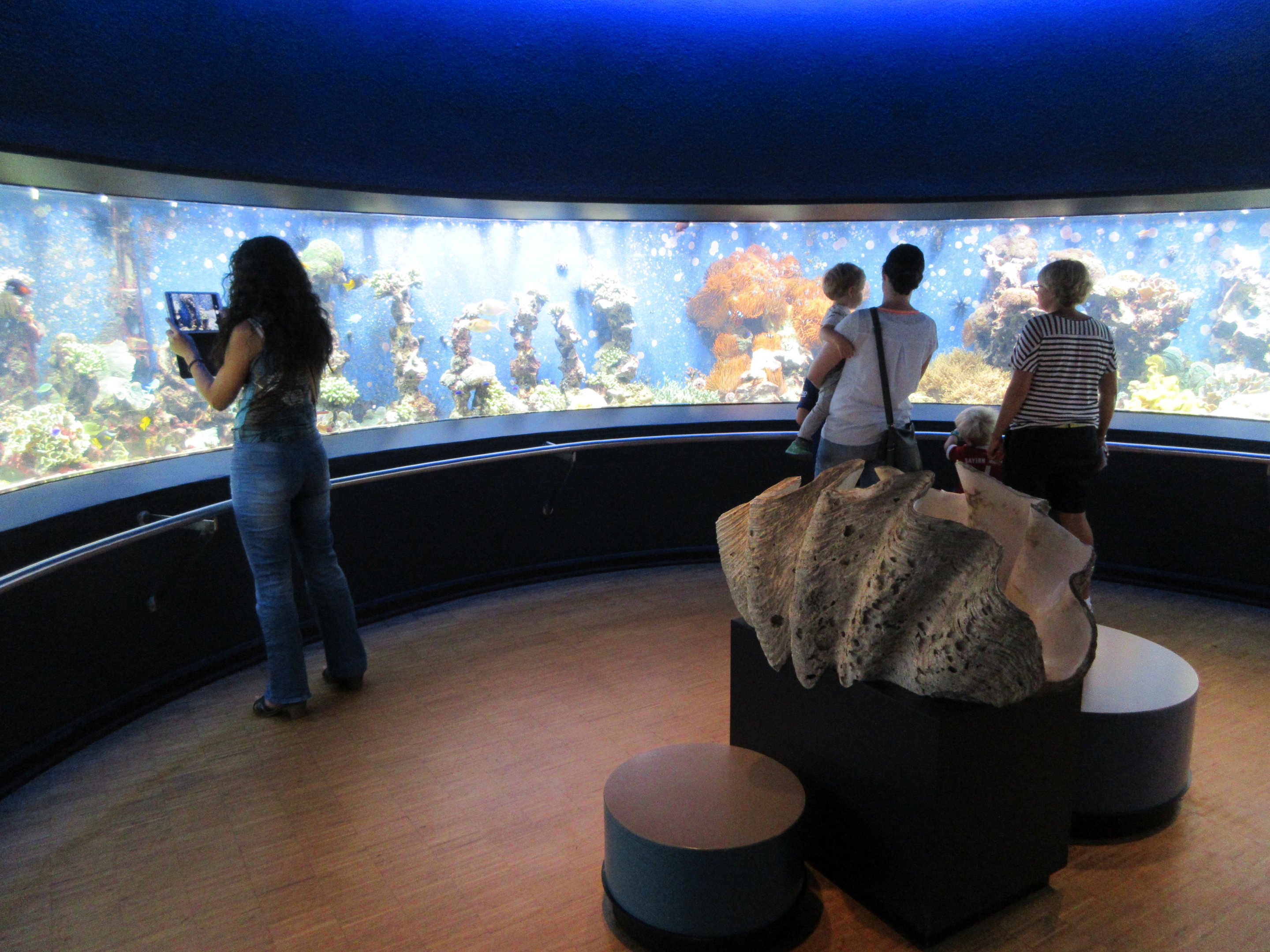 Coral Reef Tank (photo shows 75% of it)