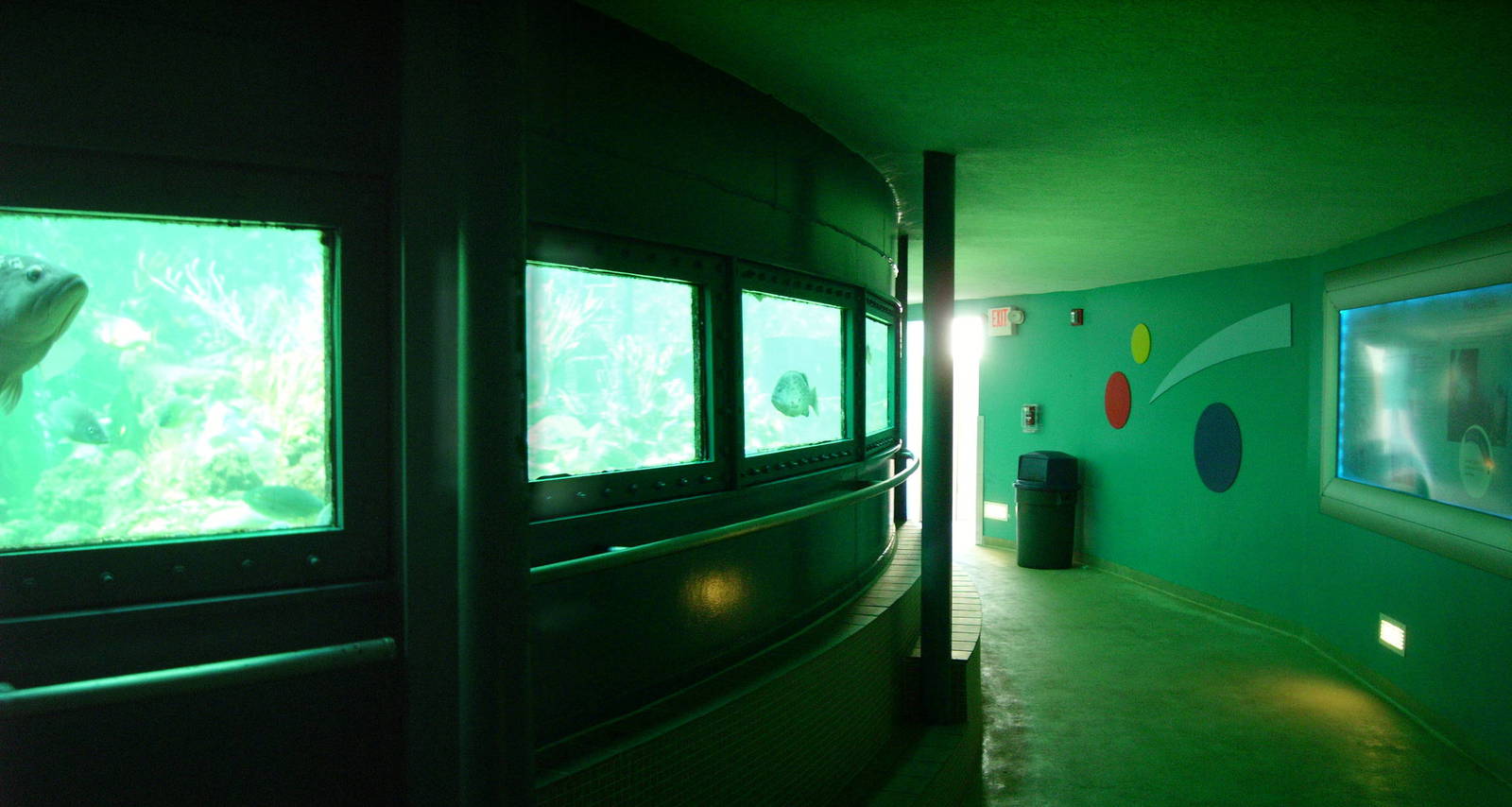 Coral Reef Tank Viewing - Miami Seaquarium