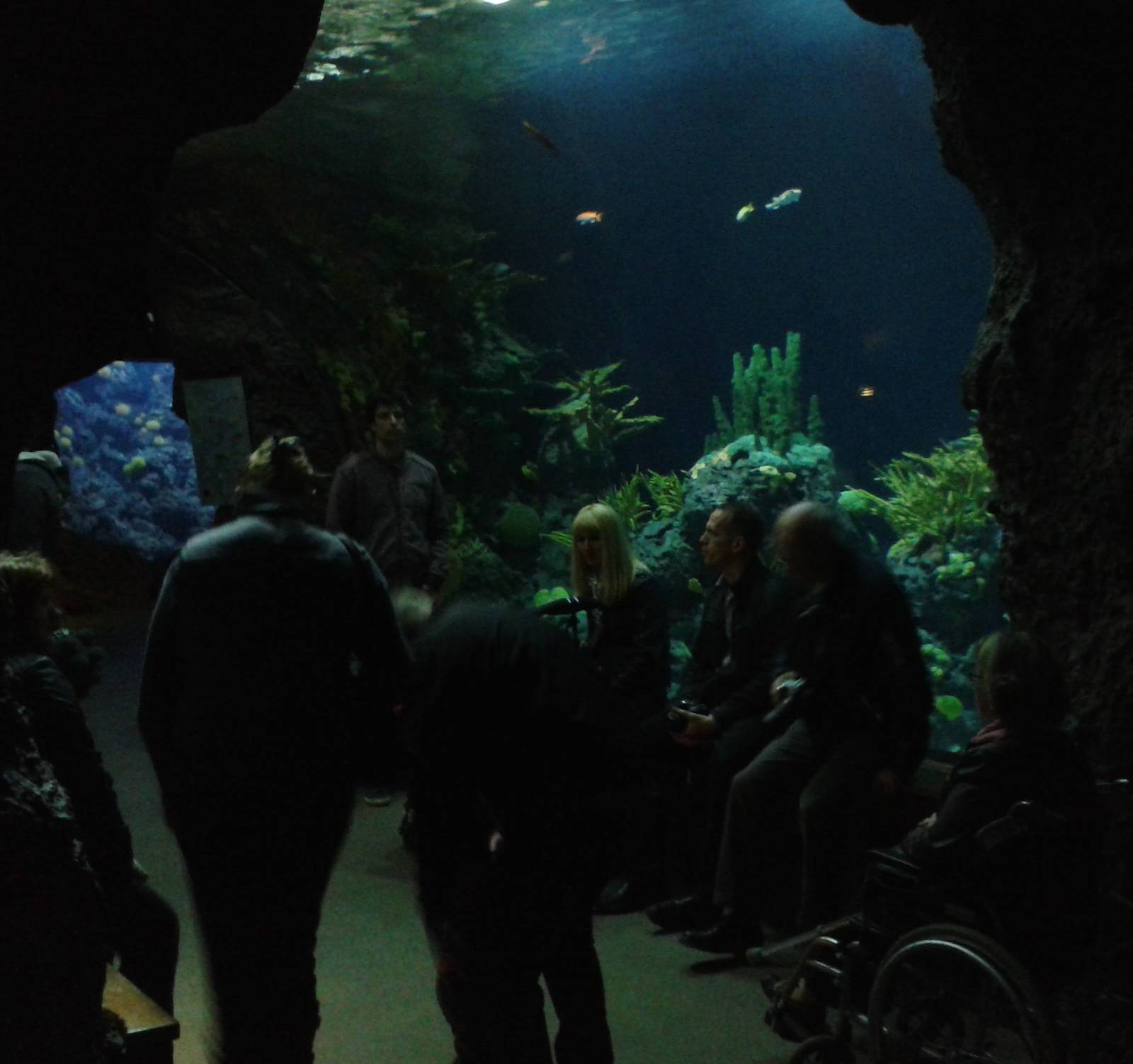 Coral reef tunnel