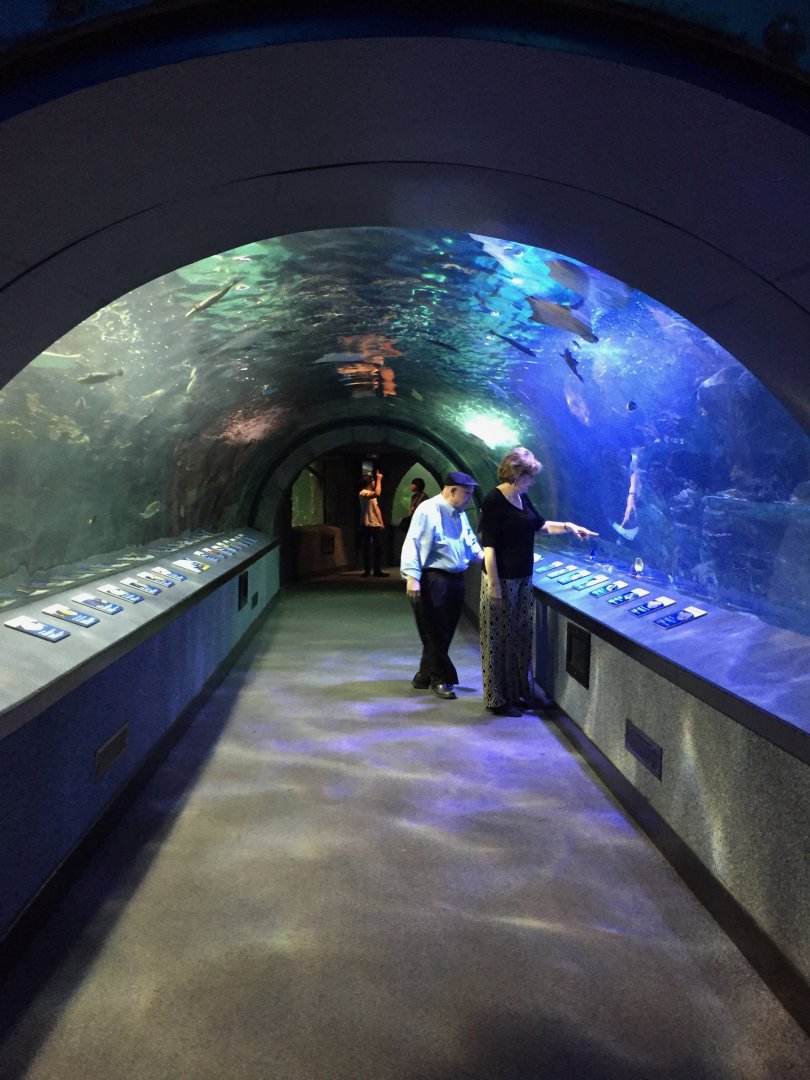 Coral Reef Tunnel