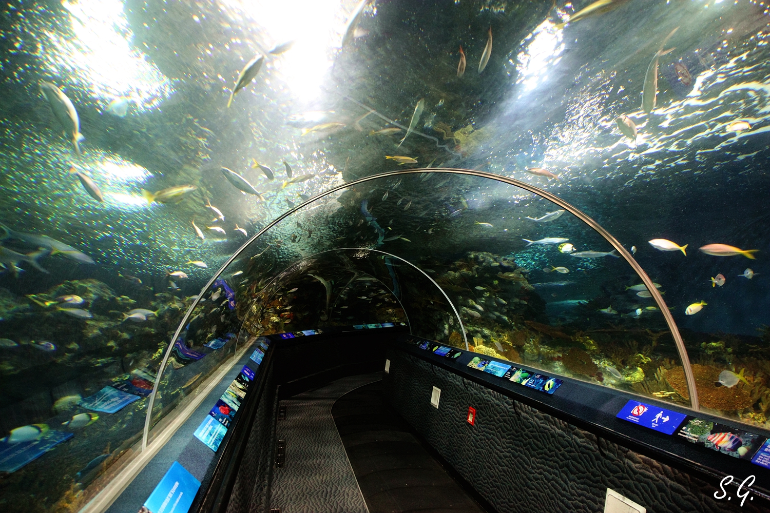 Coral reef tunnel