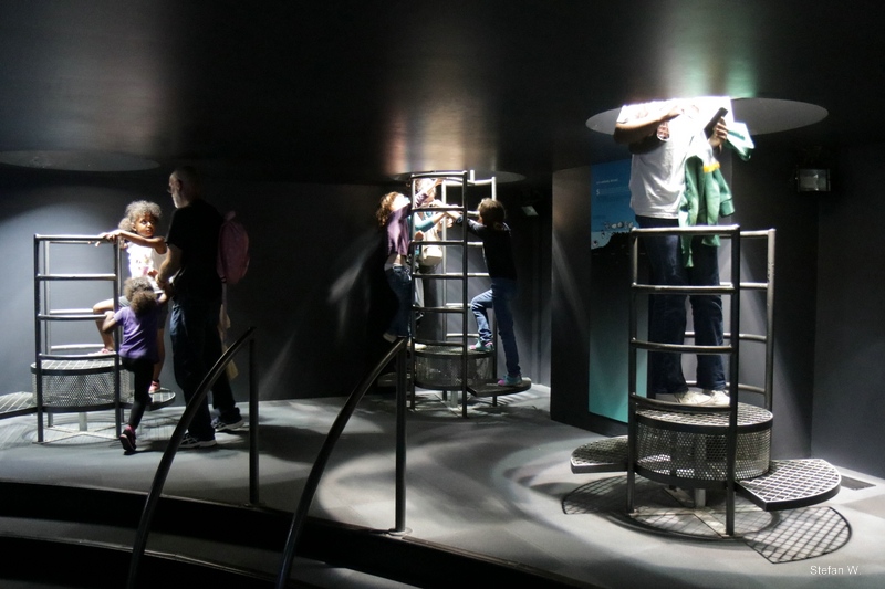 Coral reef - viewing bubbles