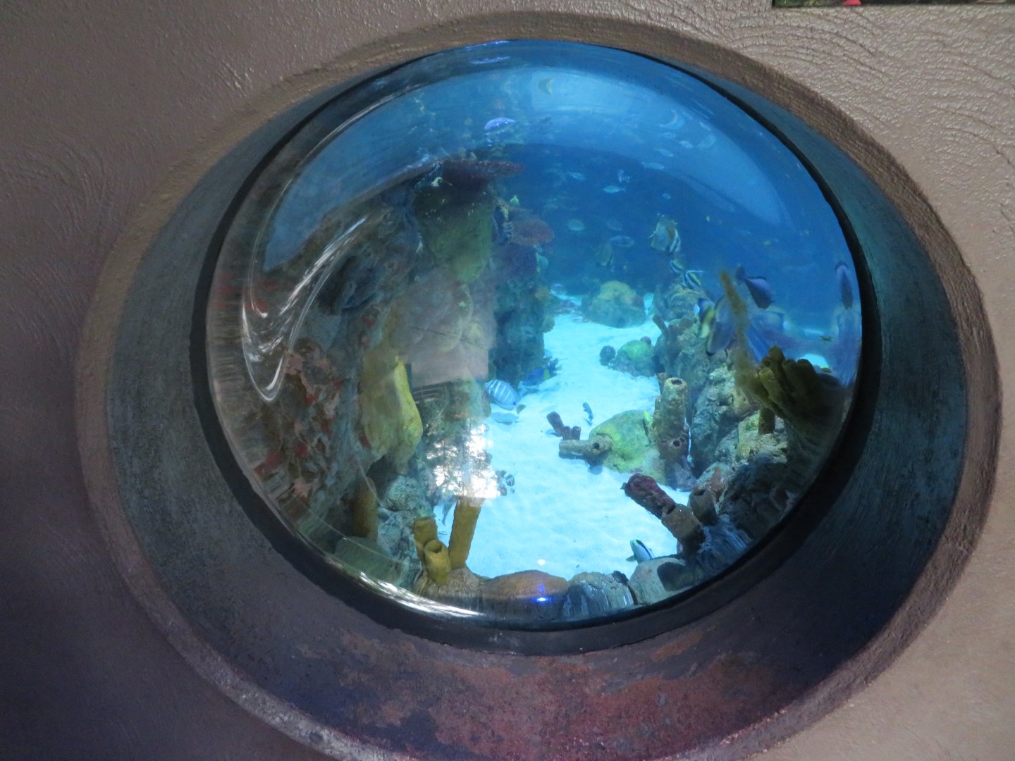 Coral Reef Viewing Portico