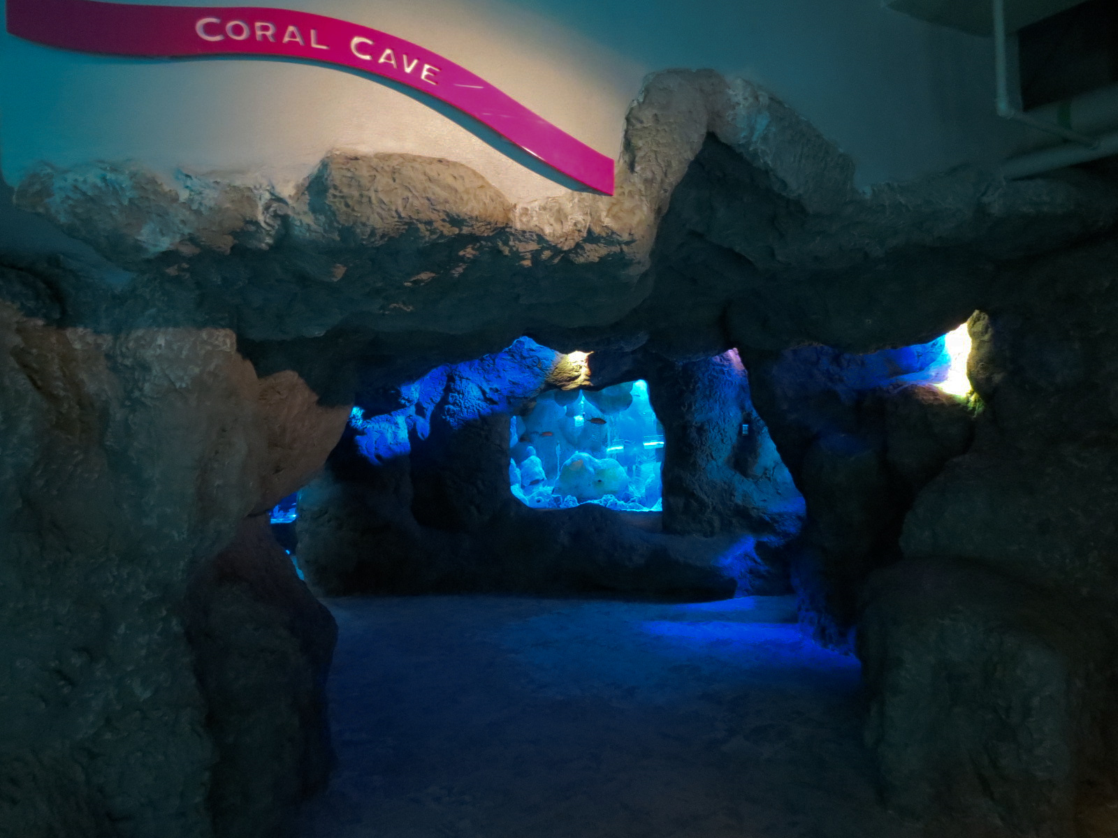 Coral Reefs - Coral Caves Exhibits