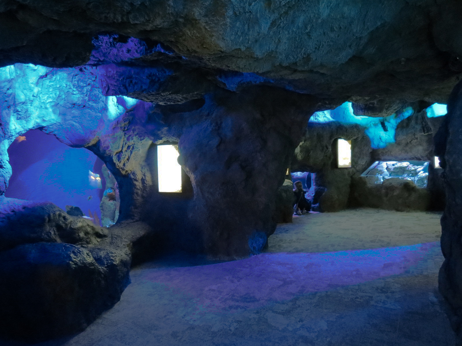 Coral Reefs - Coral Caves Exhibits