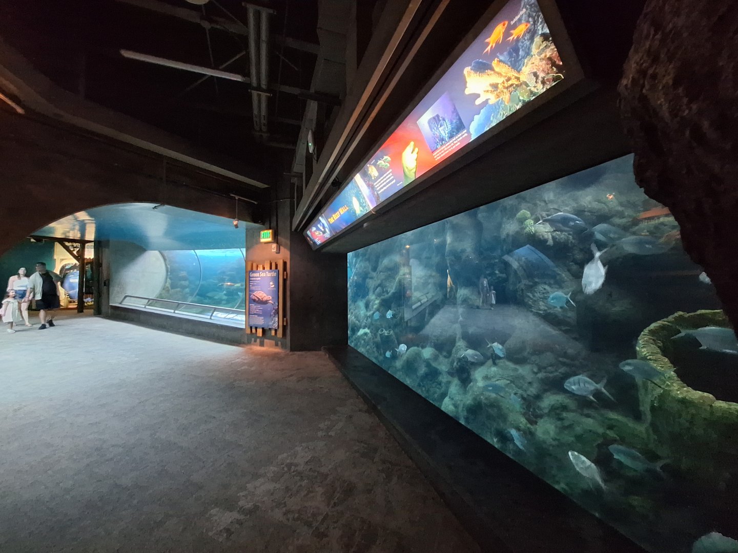 Coral Reefs main tank