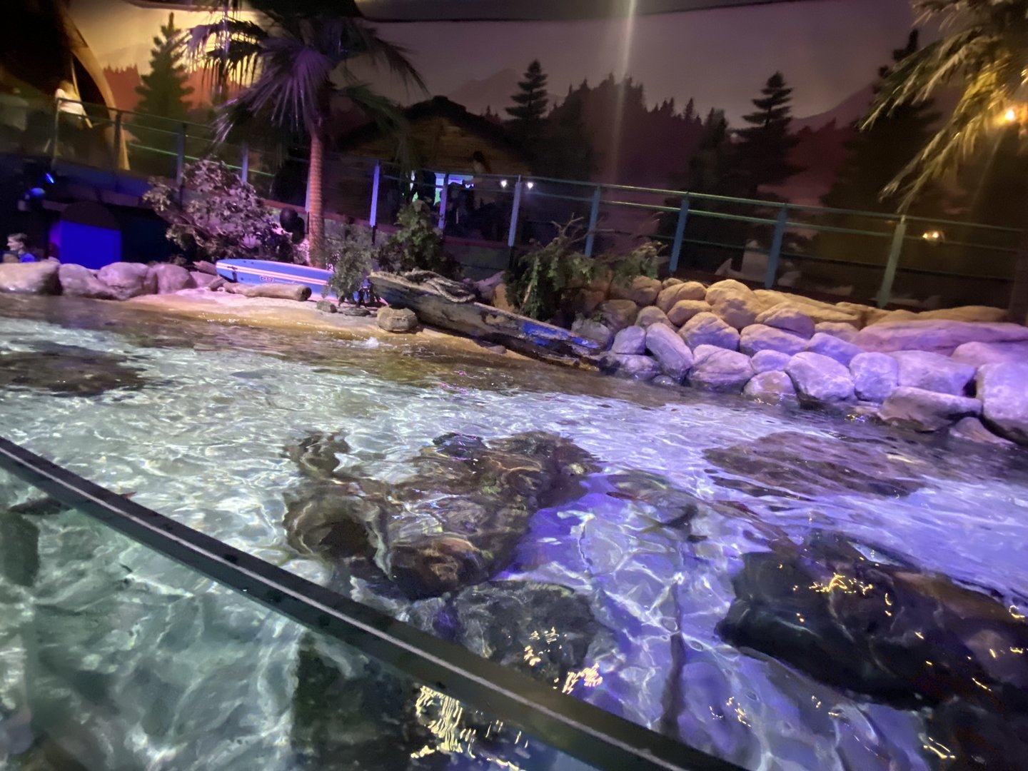 Coral Seas type exhibit 070123