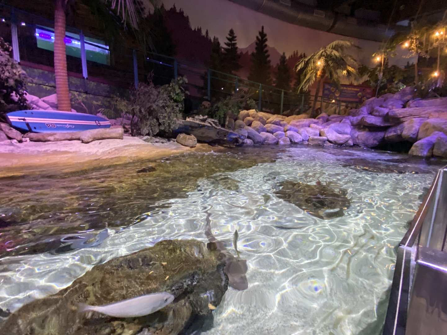 Coral Seas type exhibit 070123