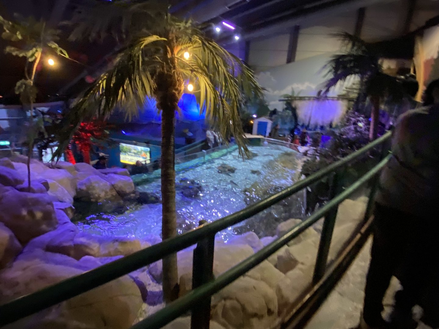 Coral Seas type exhibit from above 070123