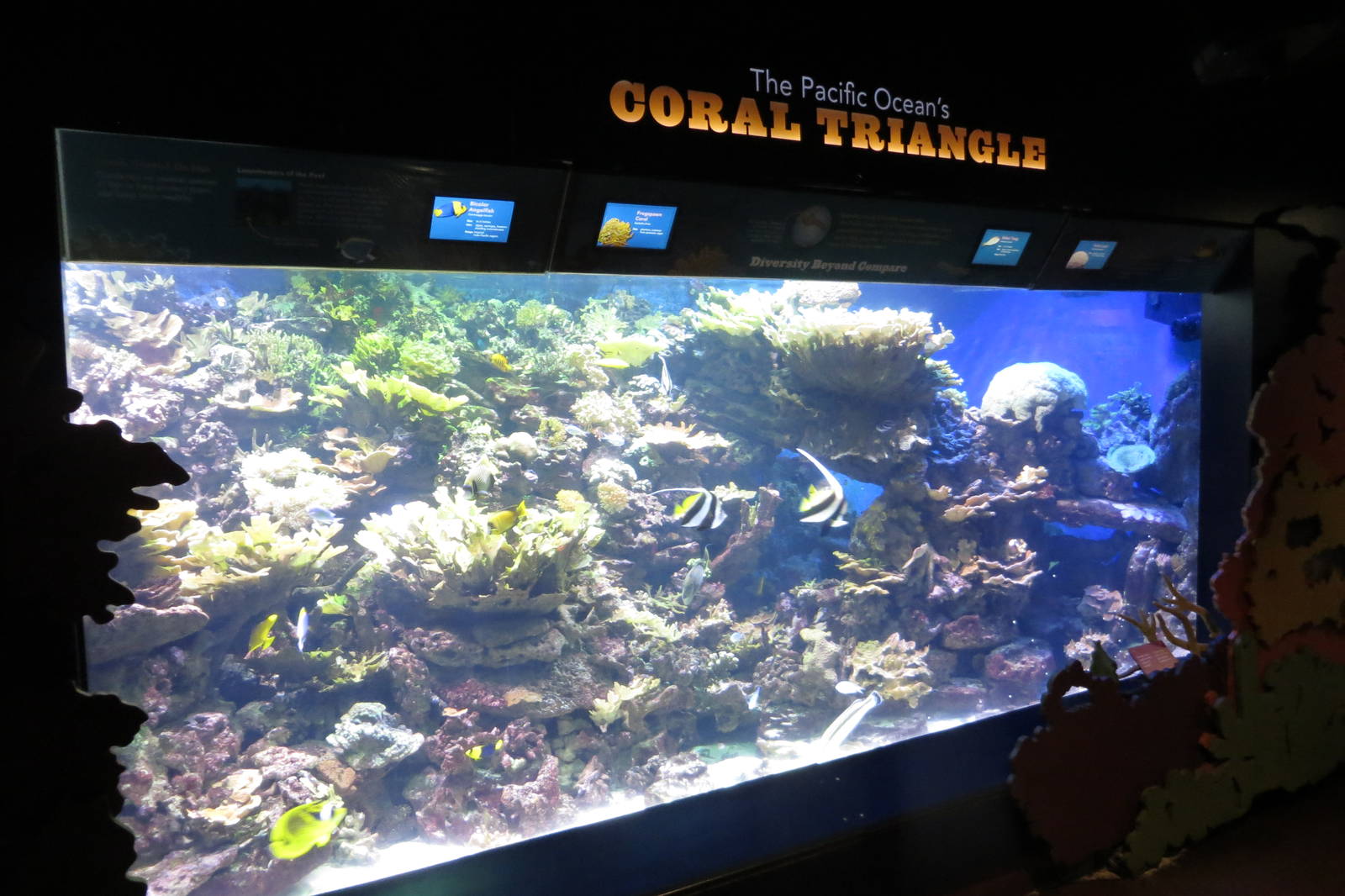 Coral Triangle Exhibit 021215