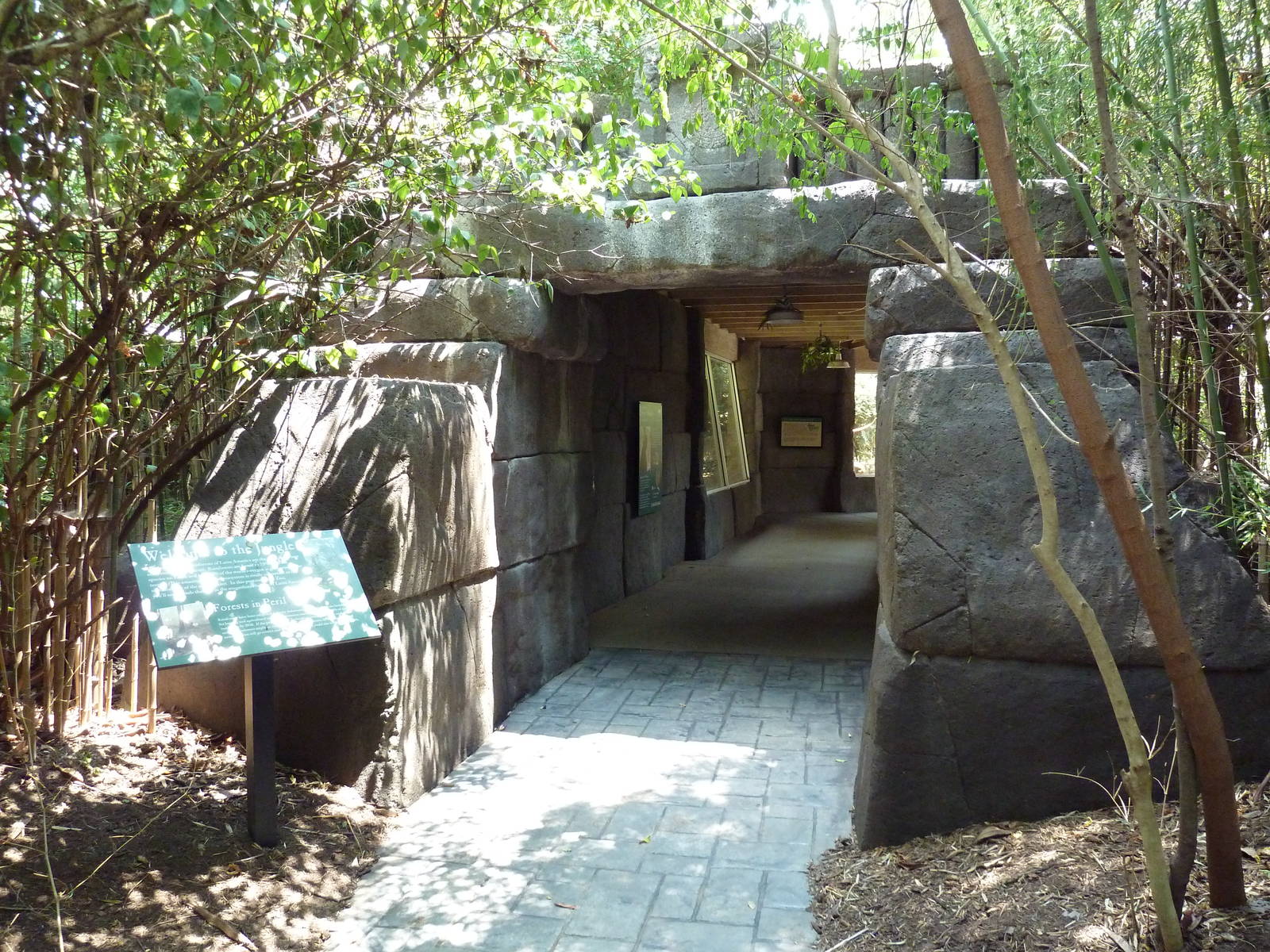 Corcovado Jungle - Entrance