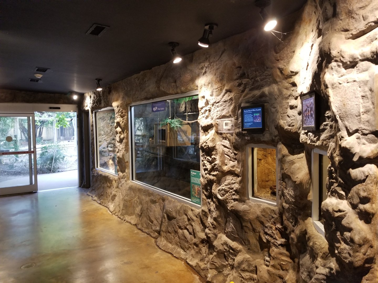 Corcovado Jungle - Main Building