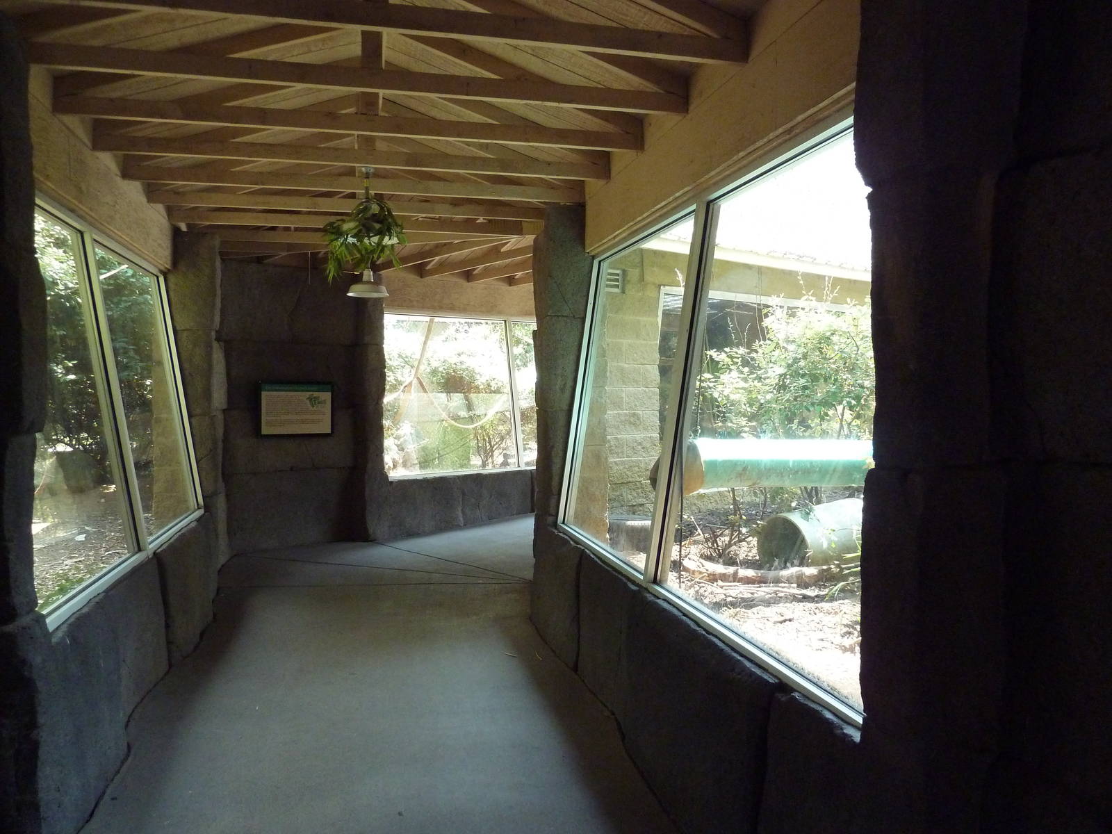 Corcovado Jungle - Spider Monkey + Coati Exhibits