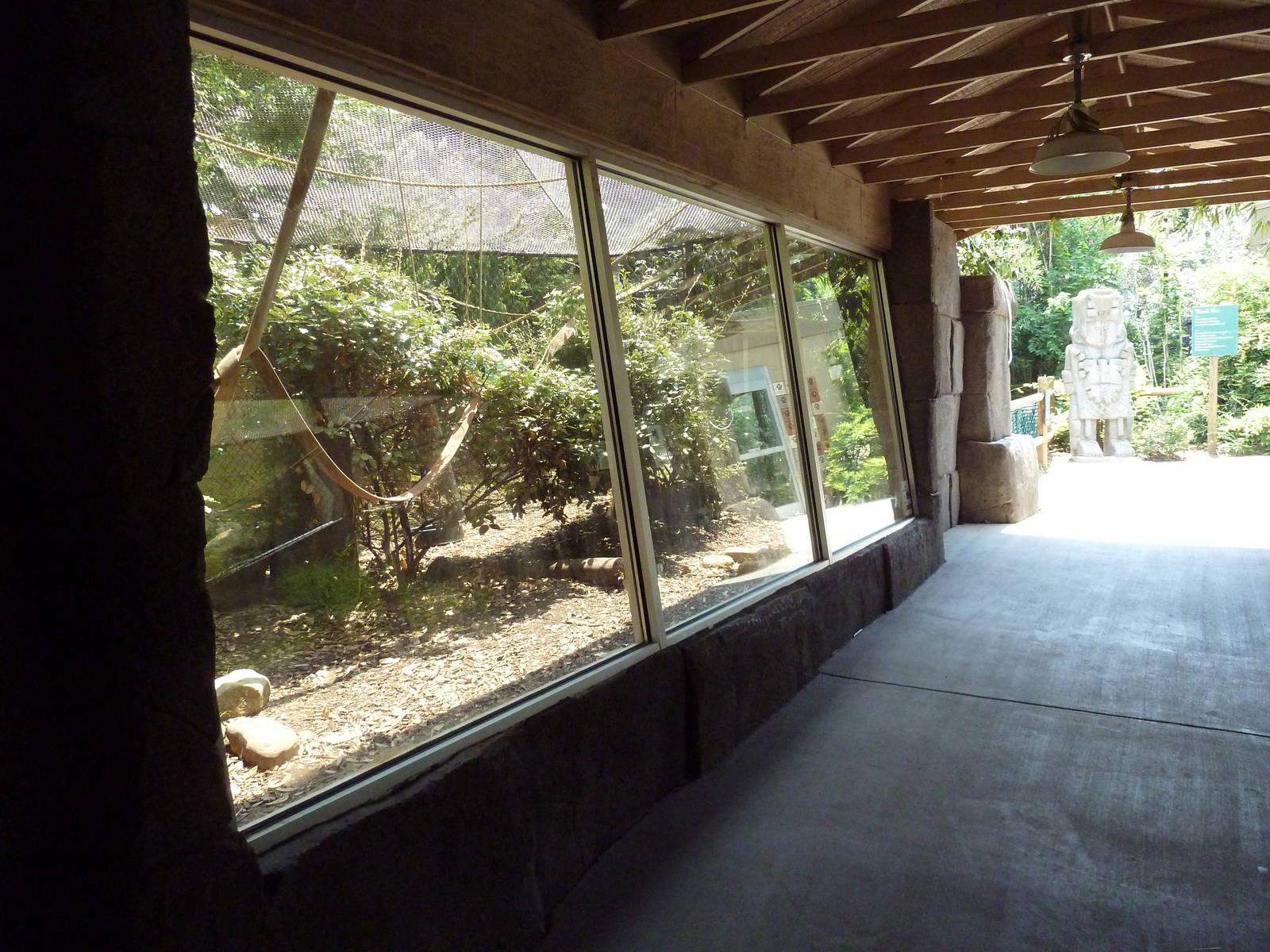 Corcovado Jungle - Spider Monkey Exhibit