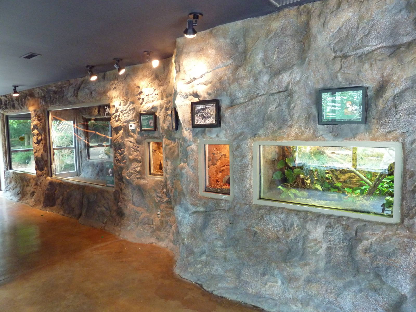 Corcovado Jungle - Terrariums