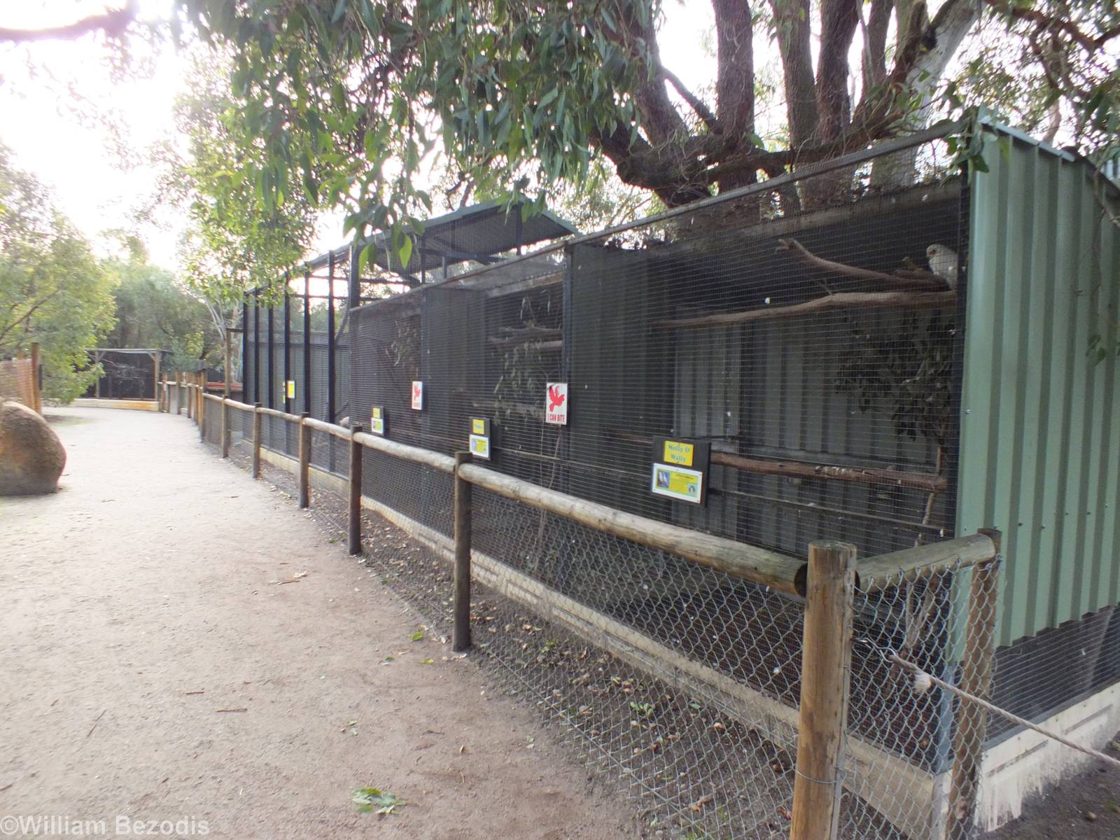 Corella and Major Mitchell Cockatoo Enclosures - Caversham Wildlife Park