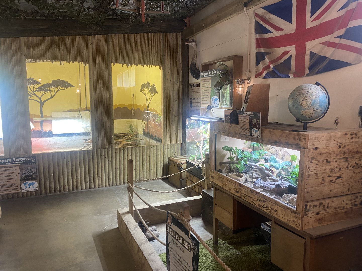 Corn snake and Leopard tortoise exhibits 040824