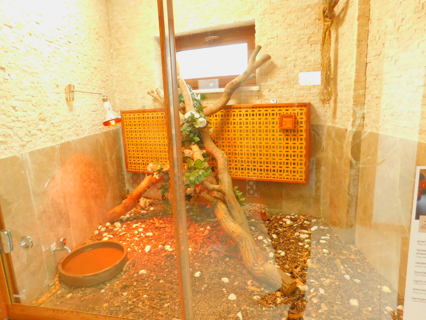 Corn Snake Enclosure at the Karatay Zoo