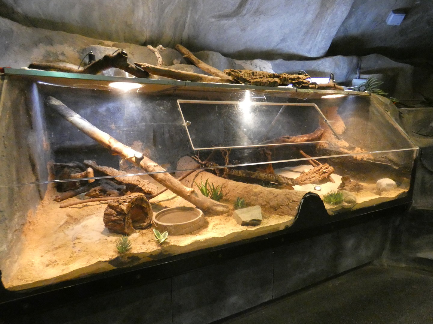 Corn snake enclosure