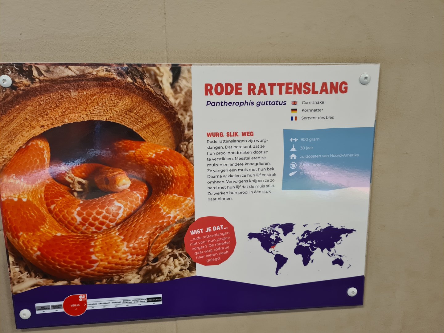 Corn snake signage