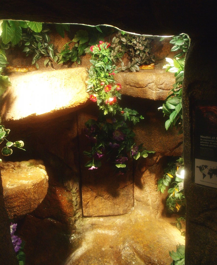 Corn snake terrarium, 2017-02-06