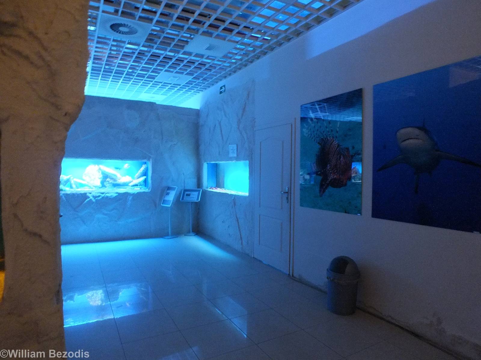 Corner of Saltwater and Freshwater Sections