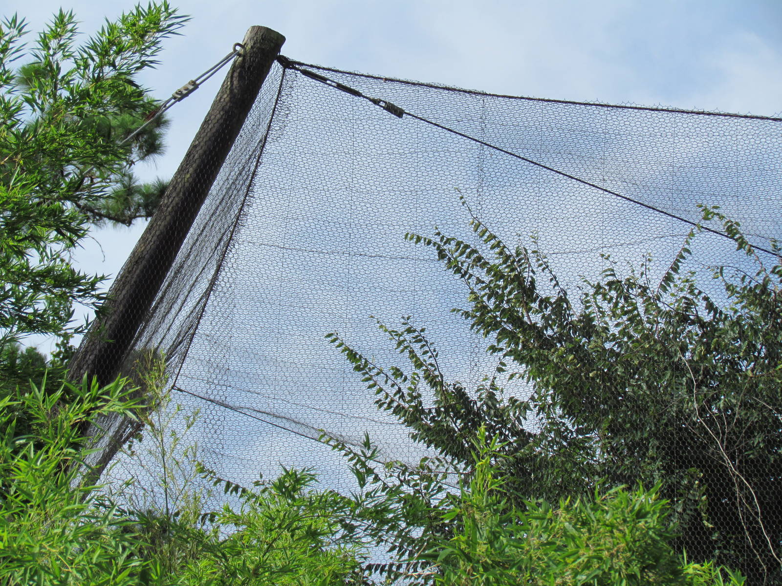 Corner post of River Valley Aviary