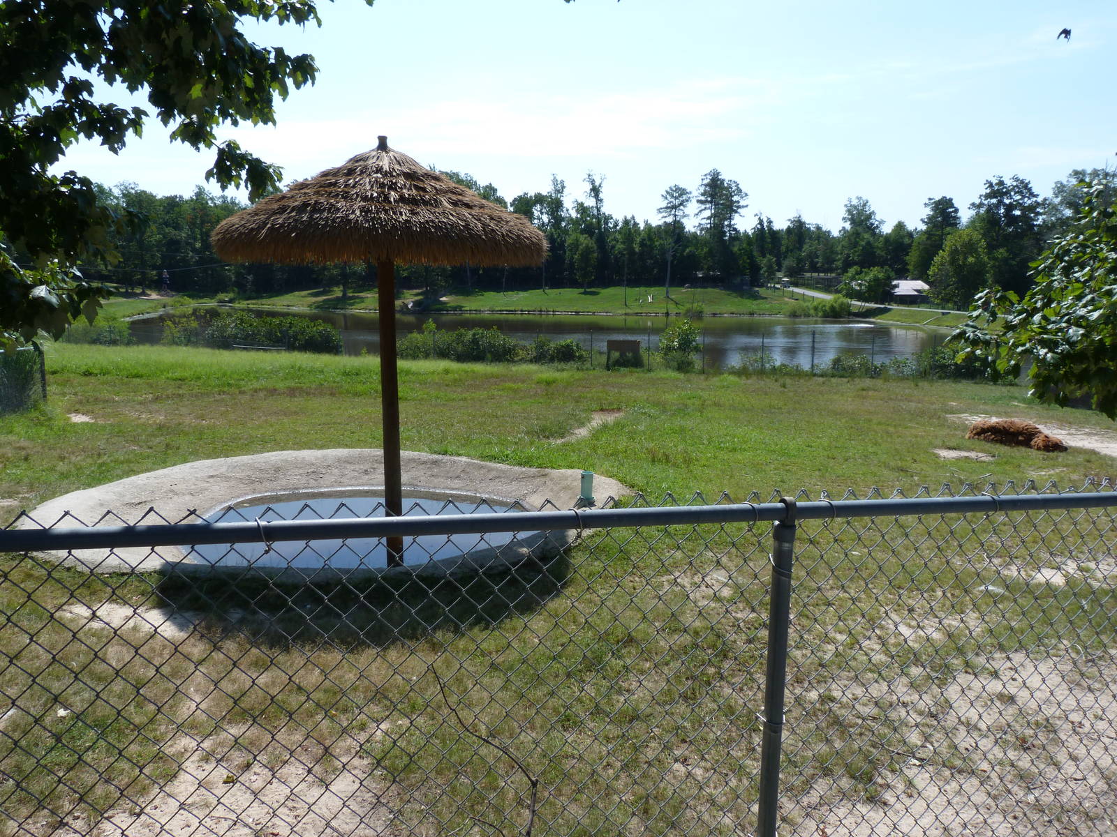 Corner Section of Tapir/Alpaca Exhibit - August 2014