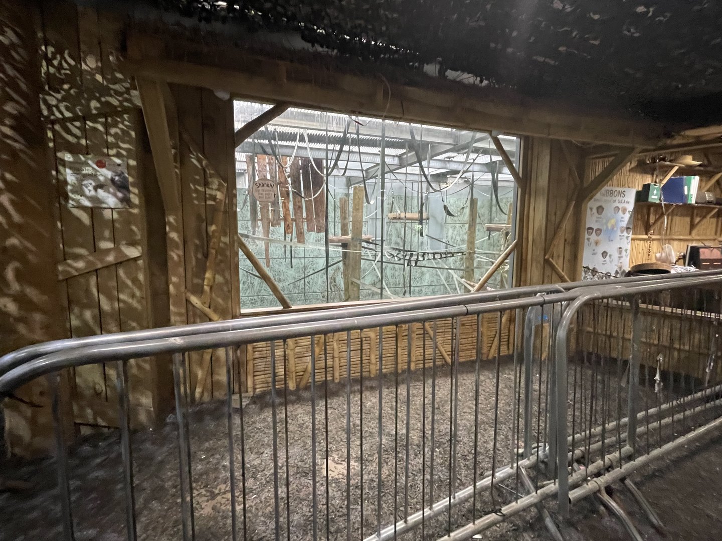 Cornered Of Pileated Gibbon Enclosure