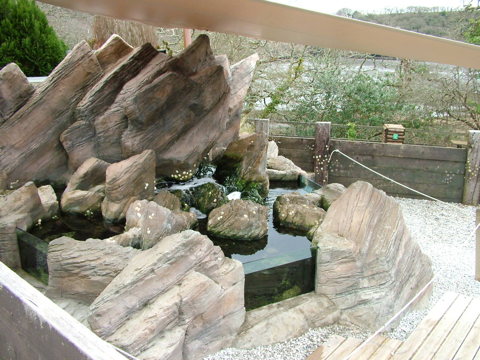 Cornish Coast Experience at the National Seal Sanctuary 11/04/09