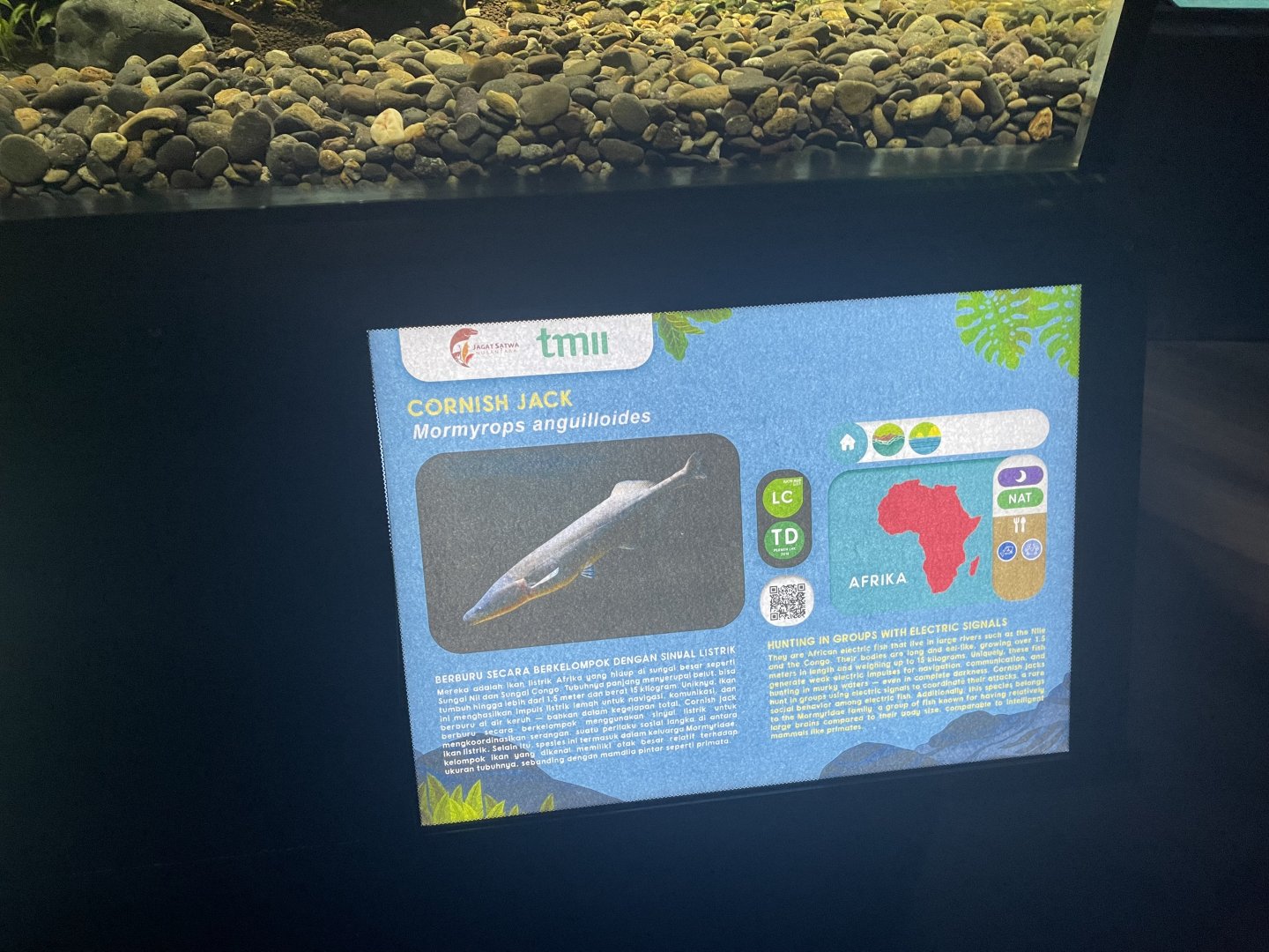 cornish jack signage - dunia air tawar