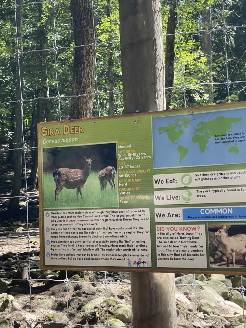 Correct deer signage