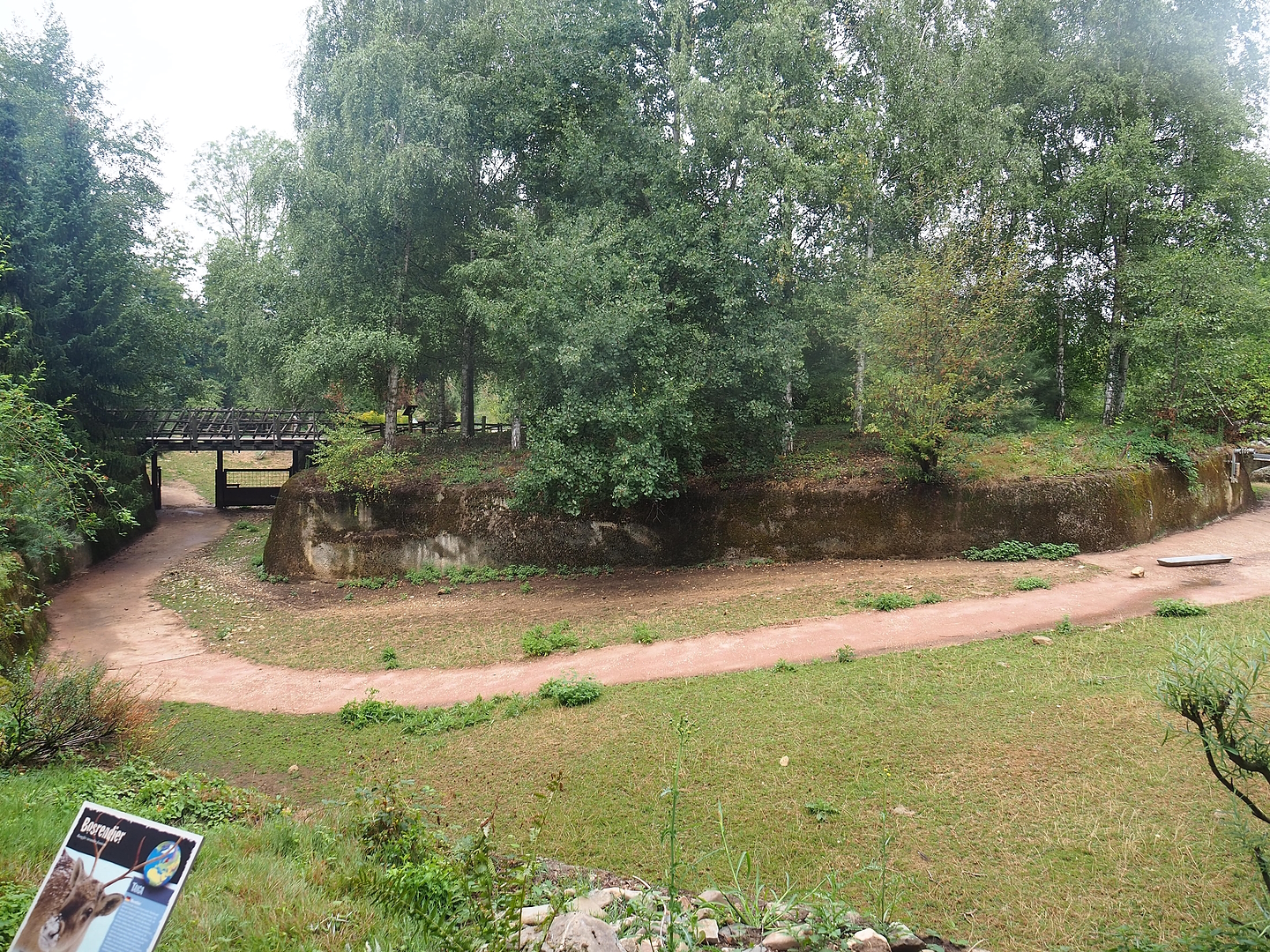 Corridor between the two parts of the Eurasian forest reindeer exhibits, 2022-08-20