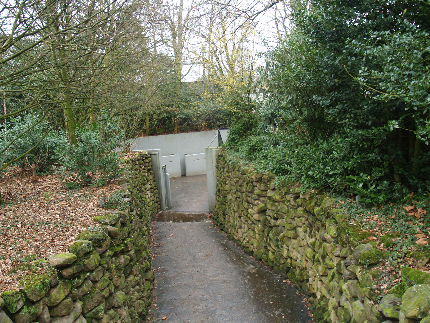 Corridor for Asian elephants between outdoor exhibit and underground stables, 2008-03-01