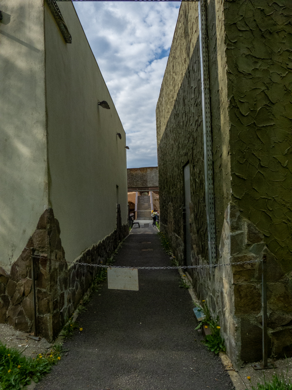 corridor for zoo keepers between lynx and snow leopard