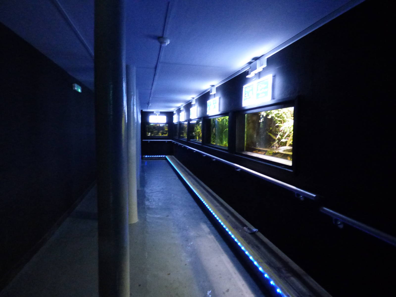 Corridor in Rifurbished Aquarium