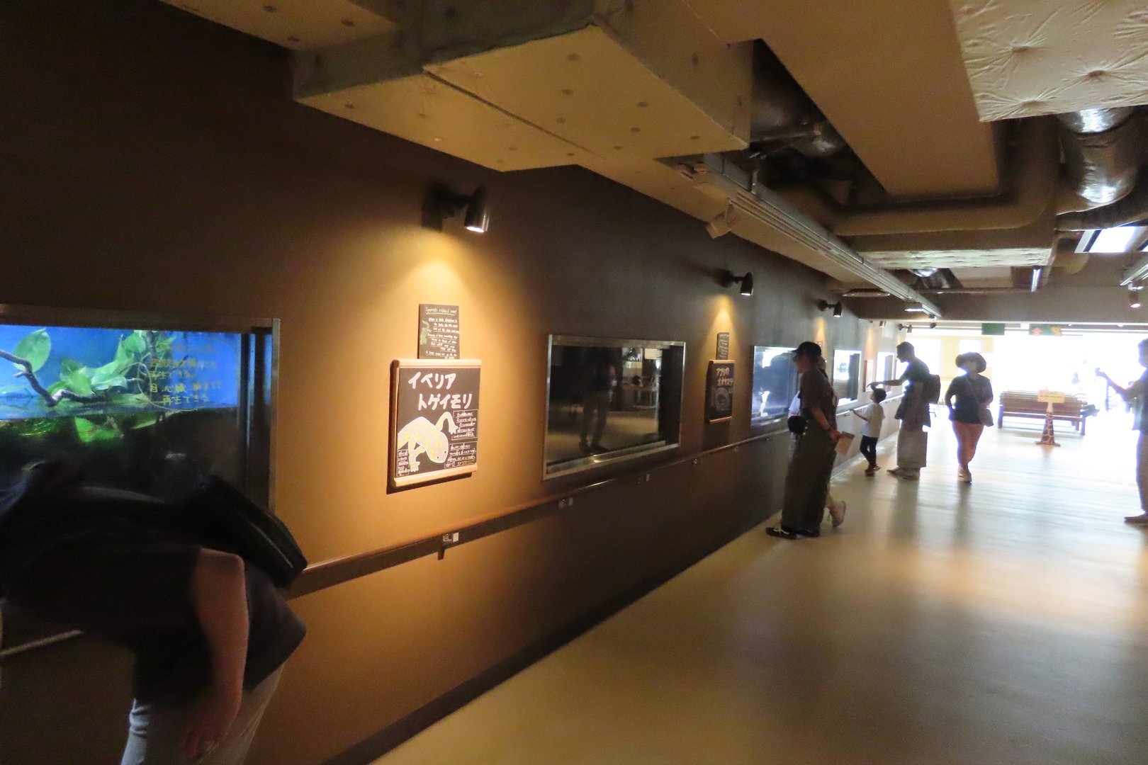 Corridor in the hippo house