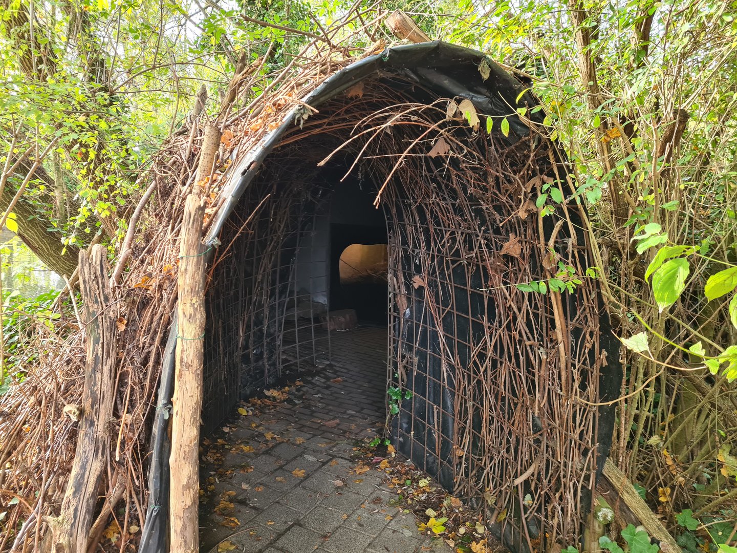 Corridor to beaver indoor viewing