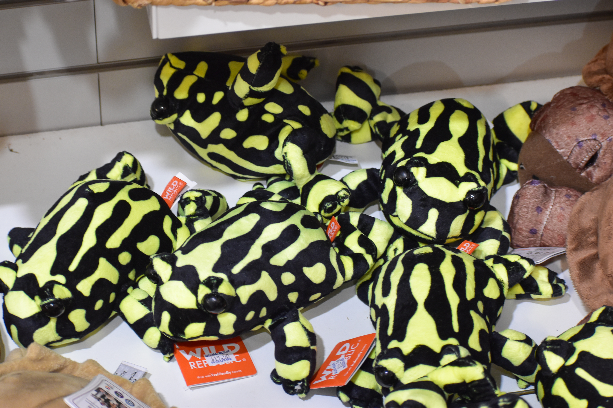 Corroboree Frog plush toys