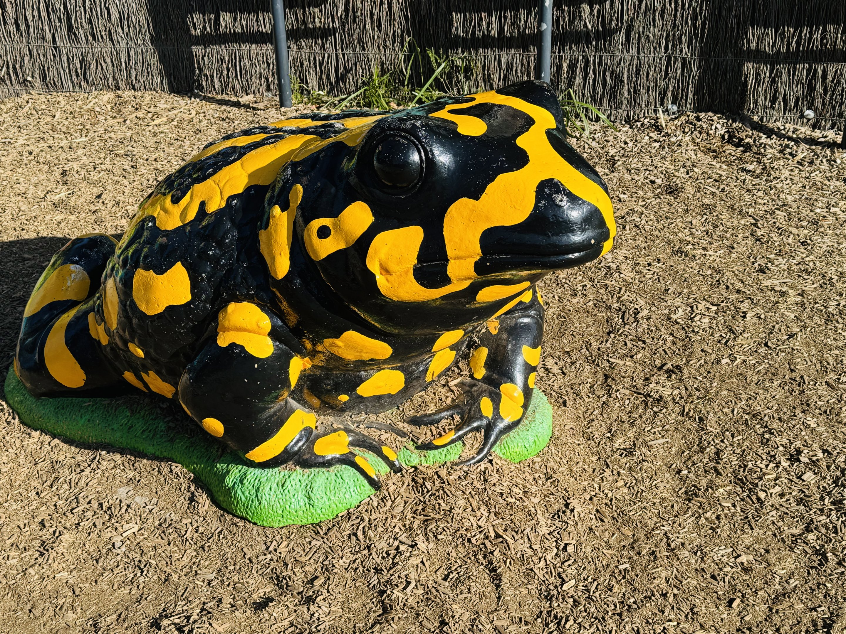 Corroboree frog statue