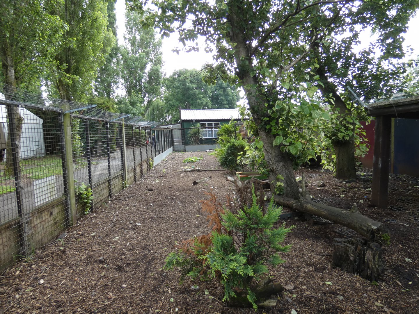 Corsac fox enclosure (Greenacres Animal Park)