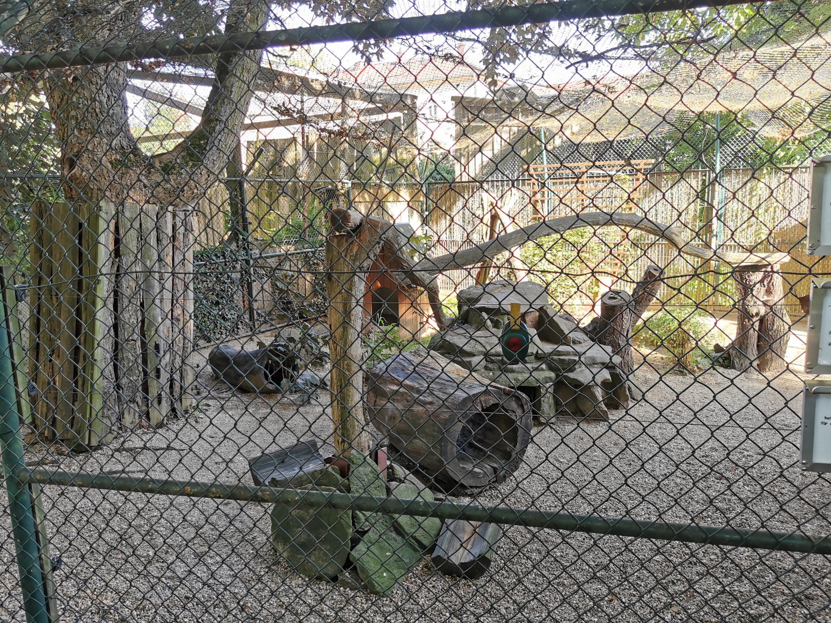 Corsac fox enclosure - Tierpark Bischofswerda