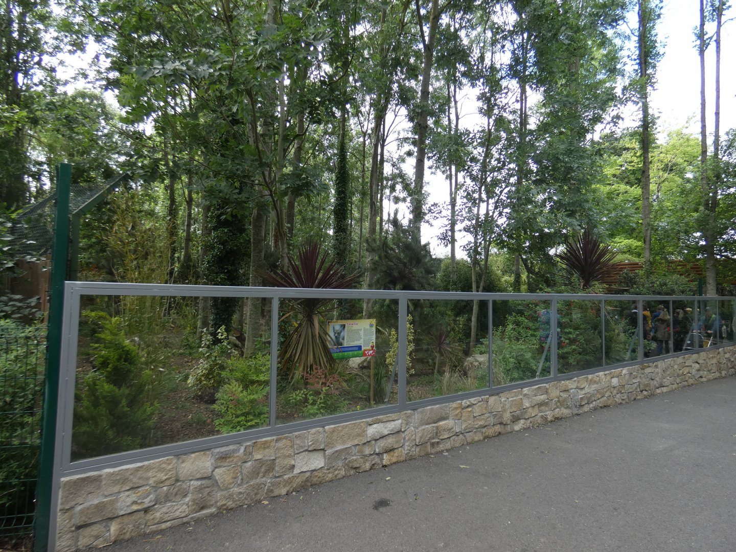 Corsac fox enclosure viewing area