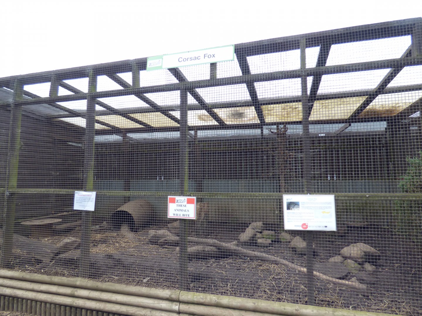 Corsac Fox Enclosure