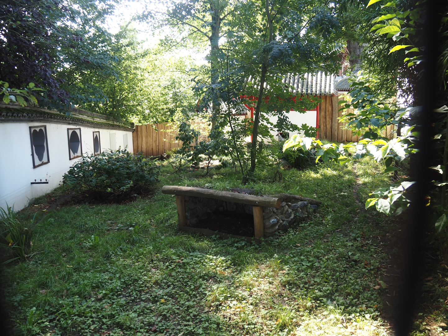 Corsac fox exhibit, 2024-09-17