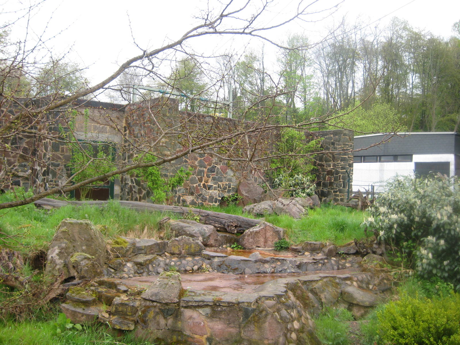 Corsac Fox Exhibit Detail